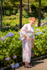 Portrait of a young woman wearing a Japanese yukata summer kimono in a hydrangea garden. Kyoto,...