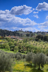 Fototapeta na wymiar Typical rural panorama of the Florentine hills. Typical Tuscan hilly landscape with rows of cypresses and olive trees seen from the Boboli Gardens in Florence, Italy. 
