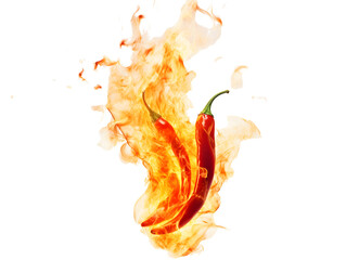 The concept of hot and spicy food captured by red chili peppers ablaze with orange and yellow fire