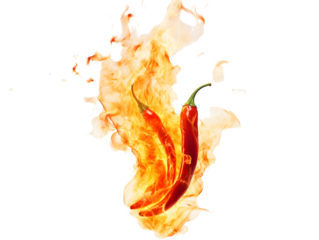 The concept of hot and spicy food captured by red chili peppers ablaze with orange and yellow fire