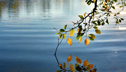 Leaves and Branch above Water Surface