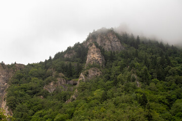Fototapeta na wymiar Mountain. View of mountains covered with forests. Cloudy weather