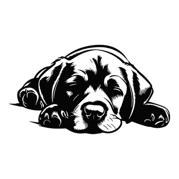 dog vector labrador sleeping puppy icon pet cartoon character illustration symbol tattoo stamp design isolated
