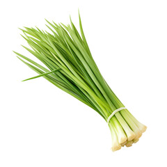lemon grass,cymbopogon isolated on transparent background,transparency 