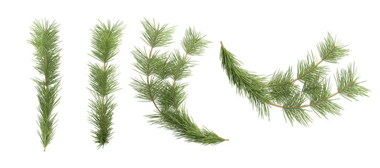 grass isolated christmas on white background