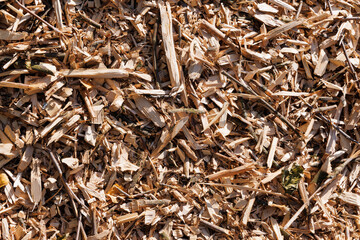 Wood chips after chopping dry branches with a shredder. View from above.