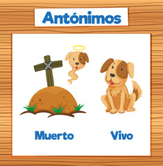 Spanish Language Education: Muerto and Vivo - Dead and Alive