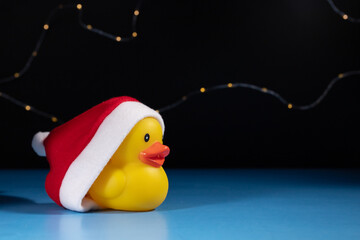 rubber duck in santa hat on christmas background