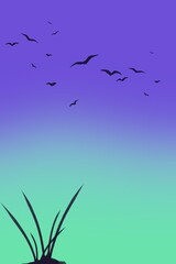 birds in the sky