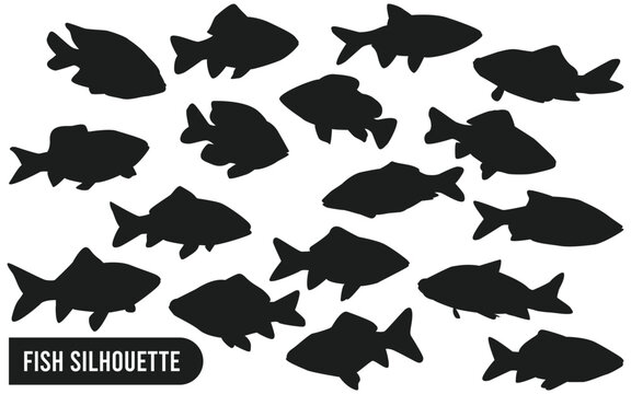 Collection of Fish Silhouette Vector