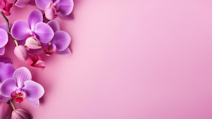 Fototapeta na wymiar Pink orchid flowers on pink background. Top view with copy space