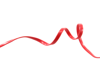 Red wire cable of usb and adapter isolated on white background.Electronic Connector.Selection focus.