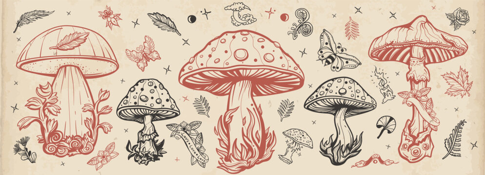 Mushrooms. Old school tattoo vector collection. Autumn forest, fly agaric, mushroom grebes, boletus