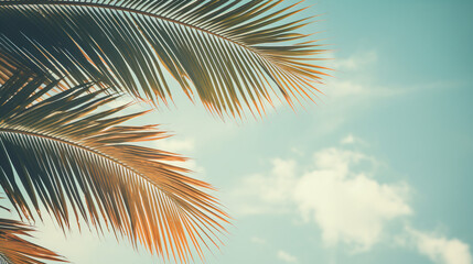 Tropical palm leaves over sky background vintage