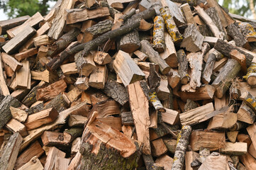 the firewood that is lying on the pile.