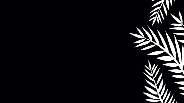 Right side frame video overlay element of palm tree plant leafs playing seamlessly loop in 4k resolution with black and white alpha channel