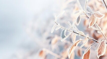 frozen branch with autumn - obrazy, fototapety, plakaty