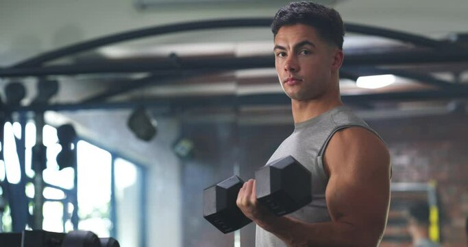 Gym, dumbbell and man exercise arm strength, muscle growth and training routine, challenge or performance. Sports portrait, fitness club equipment and male athlete, bodybuilder or person workout