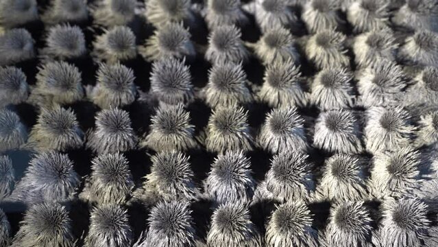 Ferromagnetic particles of metal dance. Gray abstraction. Ferromagnetism of metal particles and magnets. The action of a magnet. Physics background.