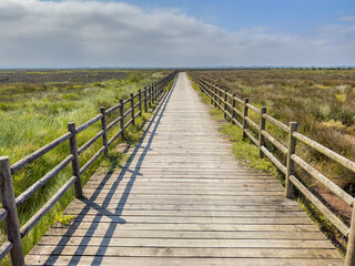 Fototapeta na wymiar Eco path wooden walkway, ecological trail path