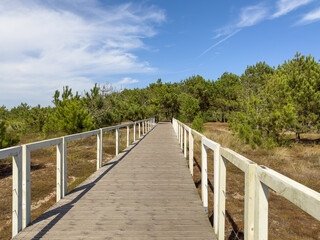 Obraz premium A wood pedestrian and cycling walkways, build over a sand dune and cross the forest that is used to give beach access in Esposende beaches. North coast ecovia, Esposende, Portugal, Europe