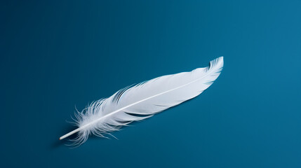 feather bird on blue background with minimalist elegance