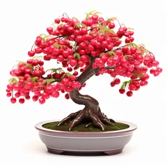 Fotobehang Cherry bonsai tree © Cedar