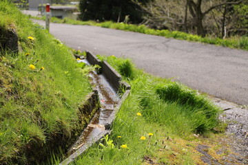 秋田県藤里町にて７
