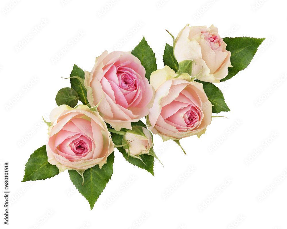 Wall mural floral corner arrangement with pink rose flowers isolated on white or transparent background