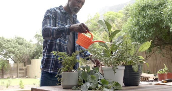Focused mature african american man watering plants on table in garden, slow motion