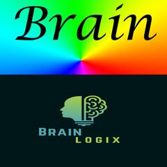 The "logic brain" refers to the part of the brain or the mental faculty responsible for rational thought, problem-solving, and the application of logic and reason to make sense of information.