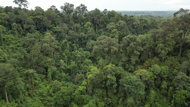 Indonesia
