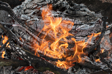 Closeup view of a flames of a fire	