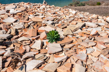 Pottery shards from excavations of an ancient city, archaeological site