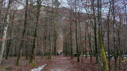 Fototapeta premium A trip to Munich's Königssee in winter