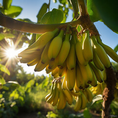Close-up de bananas em um ramo de árvore, com a luz solar delicadamente refletindo sobre elas.