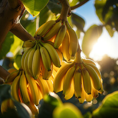 Close-up de bananas em um ramo de árvore, com a luz solar delicadamente refletindo sobre elas.