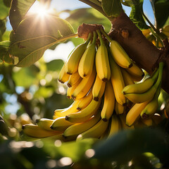 Close-up de bananas em um ramo de árvore, com a luz solar delicadamente refletindo sobre elas.