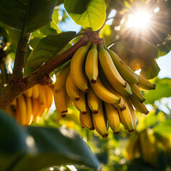 Close-up de bananas em um ramo de árvore, com a luz solar delicadamente refletindo sobre elas.