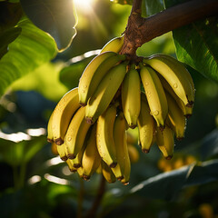 Close-up de bananas em um ramo de árvore, com a luz solar delicadamente refletindo sobre elas.