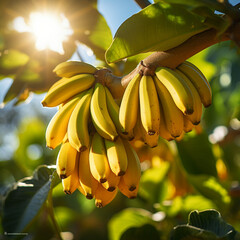 Close-up de bananas em um ramo de árvore, com a luz solar delicadamente refletindo sobre elas.