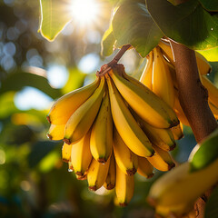 Close-up de bananas em um ramo de árvore, com a luz solar delicadamente refletindo sobre elas.