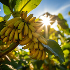 Close-up de bananas em um ramo de árvore, com a luz solar delicadamente refletindo sobre elas.