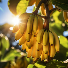 Close-up de bananas em um ramo de árvore, com a luz solar delicadamente refletindo sobre elas.