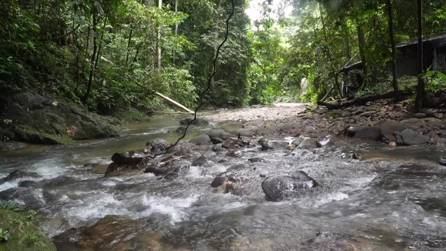 Indonesian river 
