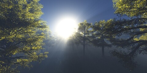 Autumn forest in the rays of the rising sun, autumn park in the fog, autumn trees in the haze, 3D rendering