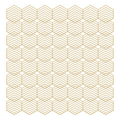 Hexagonal Geometric Pattern