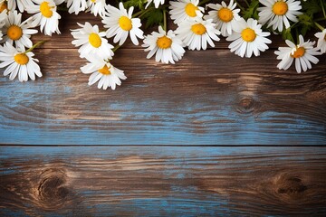 Daisies on wooden background