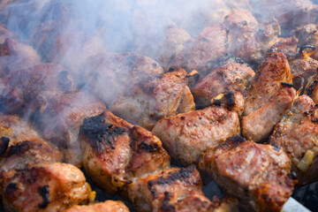 Obraz na płótnie Canvas Pork meat is fried on smoking coals in the grill