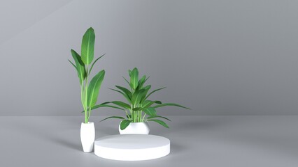plant in a glass vase with product podium
